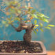 Image for article titled Shooting Challenge Freelensing Gallery 2